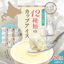 【ふるさと納税】カップ アイスクリーム 95ml × 12 種 セット みるく 山わさび かぼちゃ とうもろこし 黒豆きなこ あずき 抹茶 黒ごま チョコア（チョコ ココア） チョコヒー（チョコ コーヒー）ラムレーズン ヨーグルト 牛乳 スイーツ 詰め合わせ 北海道 十勝 芽室町