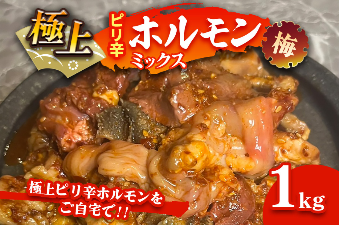 国産牛 極上ピリ辛 ホルモンミックス(梅)｜おすすめ返礼品 焼肉 ホルモン [2618]