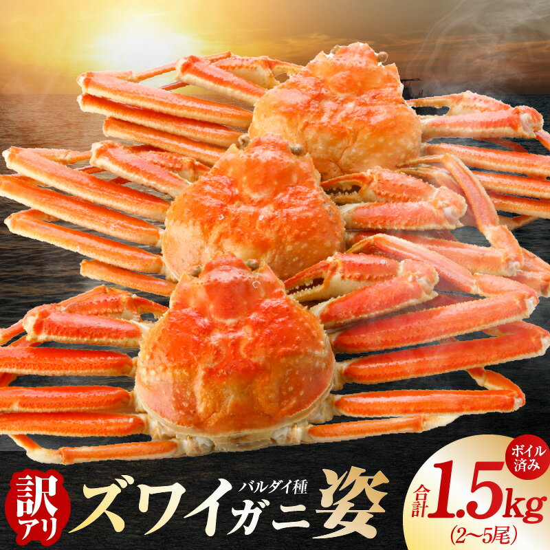 【ふるさと納税】【訳あり】 バルダイ種 ズワイガニ姿 1.5kg 2～5尾 ボイル済み オオズワイガニ カニ ズワイガニ ファミリー向け 昆布熟成 冷凍 本格海鮮 濃厚 カニみそ ごちそう おつまみ かに鍋 カニ雑炊 甲羅焼き お取り寄せ グルメ 大阪府 泉佐野市 送料無料