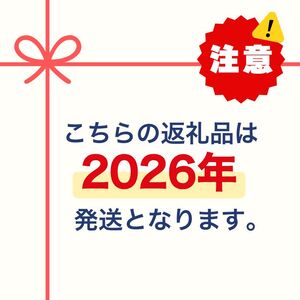 【先行予約 数量限定】2026年度産 丹波くり 2Lサイズ 1kg 和栗 丹波栗
