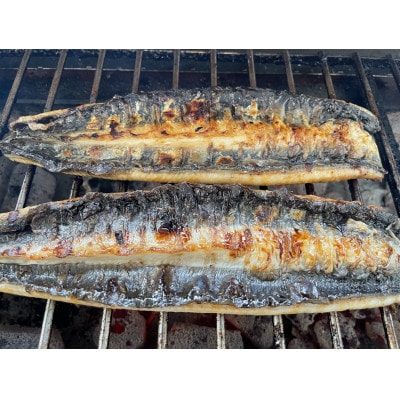 【国産うなぎ】大サイズ140g -170g　三河一色産　2尾セット　炭火蒲焼き(タレ付き)【配送不可地域：離島】