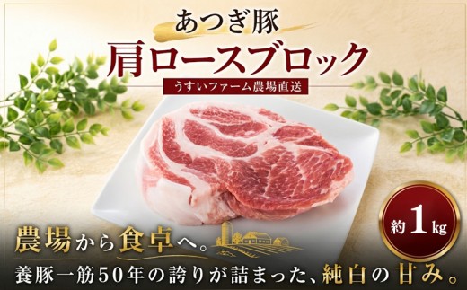 豚肉 肩ロース ブロック肉 1kg 10,000円  塊肉 国産 豚 肉 ぶた肉  豚肩ロース あつぎ豚 特産品 神奈川県 厚木市 株式会社うすいファーム UIF003