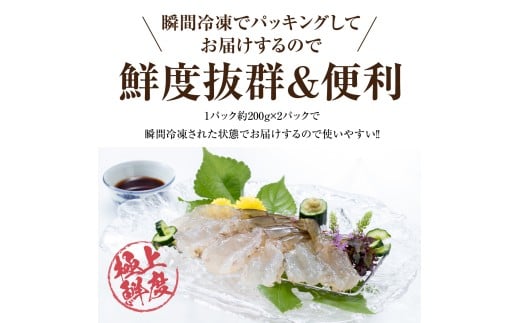 青空えび（和名：シロアシエビ）２パック入り / 海老 魚介類 冷凍 水産 食品 人気 おすすめ 送料無料【conn0001】