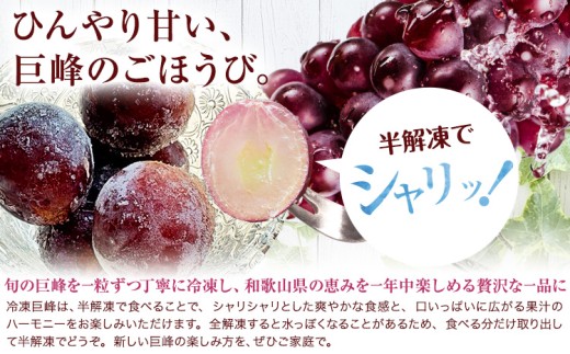 冷凍巨峰 200g×2袋 Farm&lab《30日以内に発送予定(土日祝除く）》 和歌山県 日高町 フルーツ ぶどう 巨峰 冷凍 和歌山県産