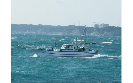 E701 釣り船乗船券(11,000円分)