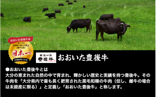 小分けで便利な4パック!豊後牛切り落し計800g（1259R）_イメージ4