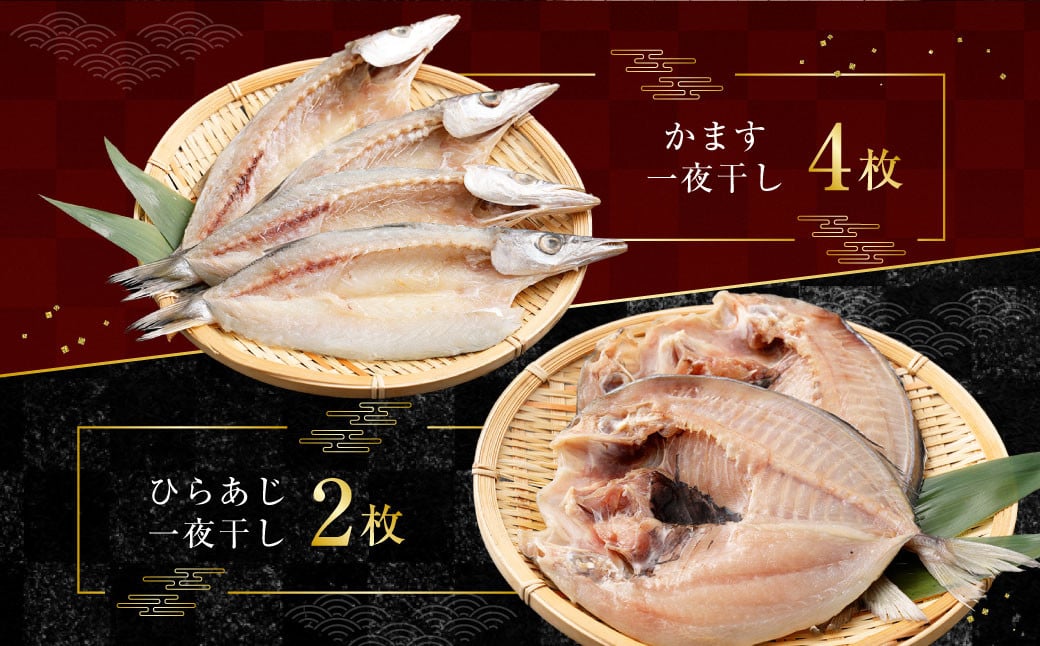「 長崎蚊焼干し 」 計24枚入り 規格外 干物 セット 小さめ あじ さば かます ひらあじ ご飯のお供 魚介 海の幸 蚊焼干し 秘伝のねかせダレ ベアーフーズ水産食品センター 長崎市