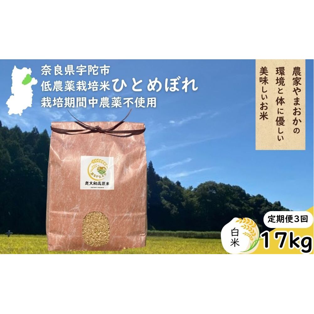 【定期便3回】ひとめぼれ 低農薬栽培＜令和7年産 白米 17kg ＞ / ふるさと納税 低農薬 米 お米 こめ コメ 国産 新米 玄米 一等米 農家やまおか 奈良県 宇陀市