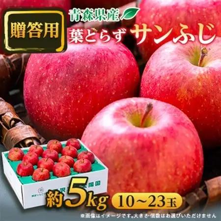 【贈答用にもどうぞ】 青森市産りんご「葉取らずサンふじ」約5kg_果物・フルーツ りんご  リンゴ 林檎_【配送不可地域：離島・沖縄県】【1466367】