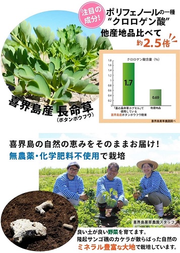 長命草カプセル(280㎎×150粒)【機能性標示食品】