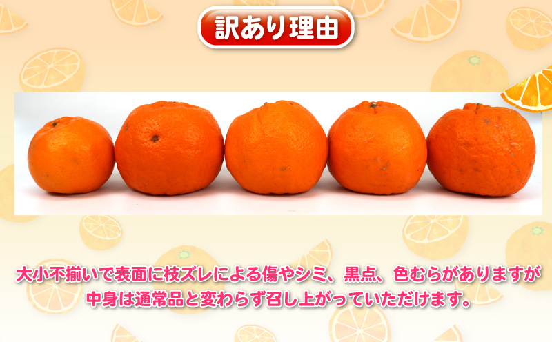 ポンカン 8kg 訳あり ぽんかん 杉本屋  訳あり品 mikan みかん デザート 甘い 果物 くだもの フルーツ 柑橘 みかん 蜜柑 ビタミン お取り寄せ 愛媛みかん 愛媛蜜柑 愛媛県産 産地直送