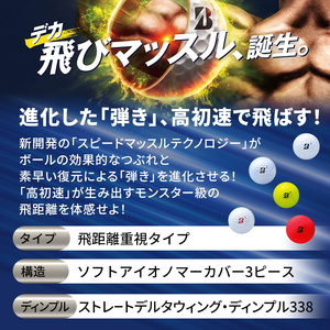 ゴルフ 25TOUR B JGR 20ダースセット ゴルフボール ブリヂストン 【(WH)・(PW)・(YE)・(PP)・(RD)】