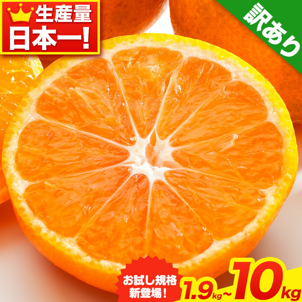 【ふるさと納税】みかん王国和歌山よりお届け！【訳あり/サイズ不選別】 和歌山みかん 選べる 内容量 1.9kg 5kg 約10kg 和歌山県産 先行予約 《2025年11月中旬-1月中旬頃出荷》たっぷり ご家庭用 2L〜2S みかん 旬 蜜柑 ミカン 柑橘 果物 フルーツ 和歌山県 紀の川市