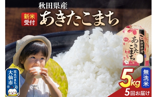 《令和8年産新米予約》 《定期便5ヶ月》【無洗米】あきたこまち 5kg 秋田県産  こまちライン 秋田県 大仙市産 [秋田 お米 米どころ あきたこまち こまちライン]