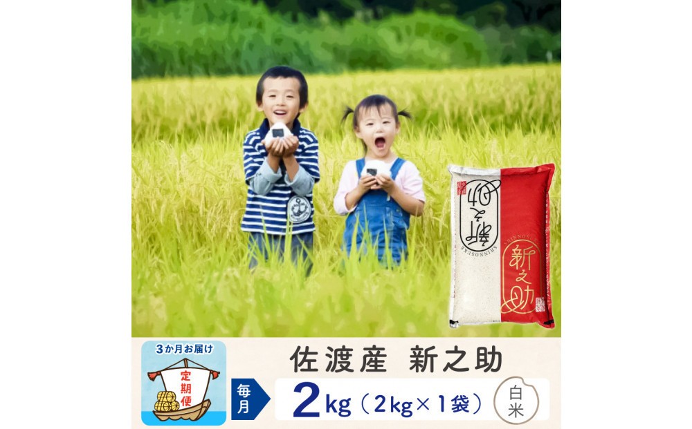 【令和8年産新米 3ヶ月】佐渡島産 新之助 白米 2kg195962-5211