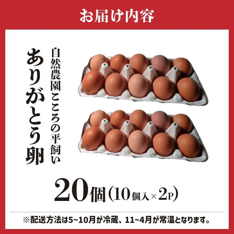 自然農園「こころ」の平飼い『ありがとう卵』 20個（10個×2パック）