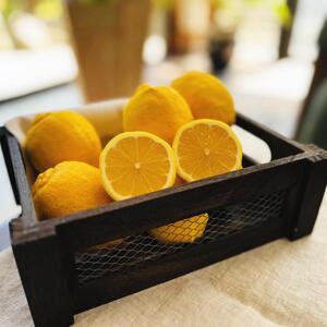 【訳あり・ご家庭用】紀州和歌山 ご家庭用 有田 レモン 約3kg+200g(傷み補償分)【2026年9月下旬～2027年2月上旬に順次発送予定】【AA90221-ard189B】