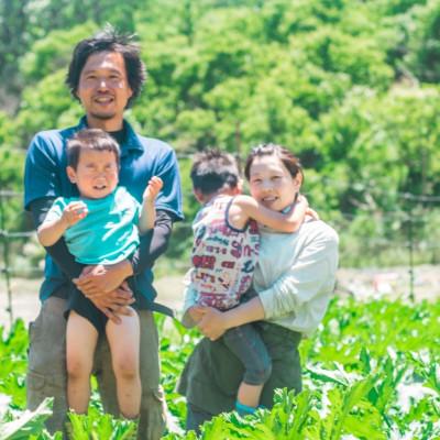 ふるさと納税 能勢町 ジンジャーシロップ2本セット(辛口スパイシー・すっきりマイルド各1本) |  | 02