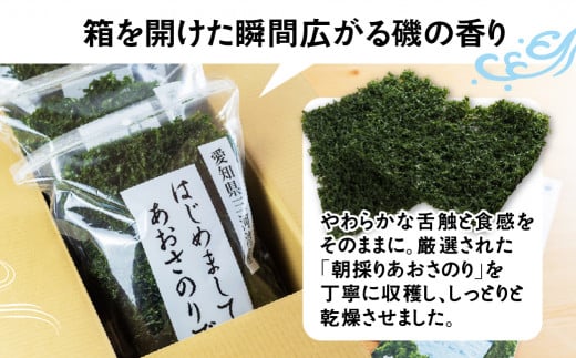 訳あり あおさ 300g 100g×3袋 簡易包装 愛知県 三河湾産 「はじめまして あおさのり です。」あおさ海苔 海苔 味噌汁 みそ汁 具 海藻類 アオサ 訳アリ 大容量 送料無料 国産 食品 田