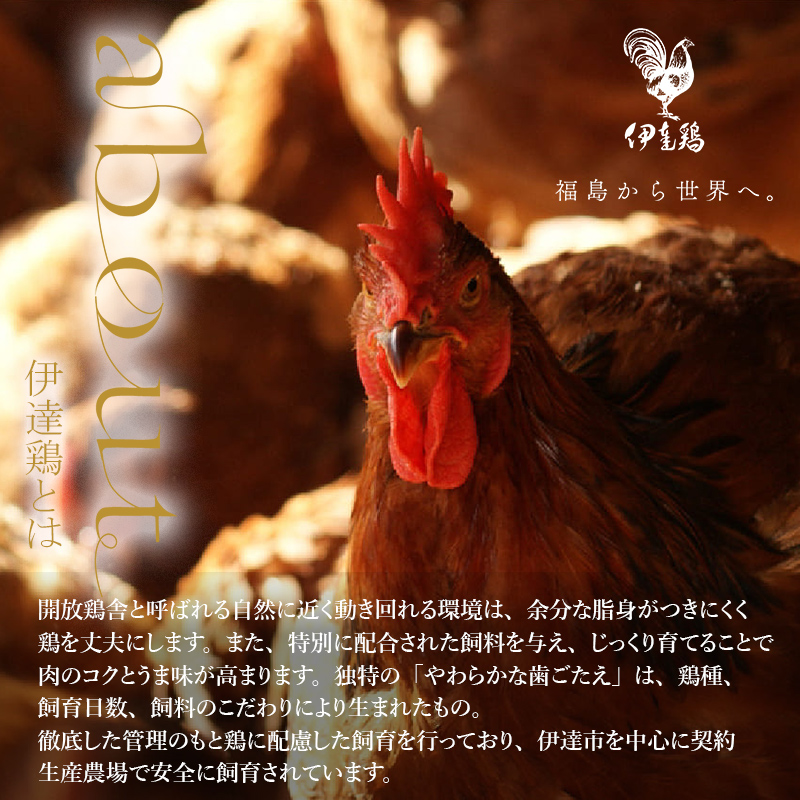 福島県 伊達市産 旨味と肉質がしっかり！ 伊達鶏 手羽元 4kg (2kg×2)  銘柄鶏  ブランド鶏 鶏肉 手羽 とり肉 だてどり ブランド鶏  おつまみ 鶏 チキン 肉 食品 F20C-231