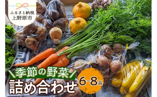 ★2026年先行予約★【関東甲信越エリア限定】季節の野菜詰め合わせ（6～8品）