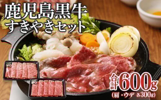 
D-101　鹿児島黒牛すきやきセット(総600g)【お肉 肉 牛 牛肉 鹿児島黒牛 すき焼き すきやき 鹿児島県 中種子町 ふるさと納税 送料無料 BB1006】
