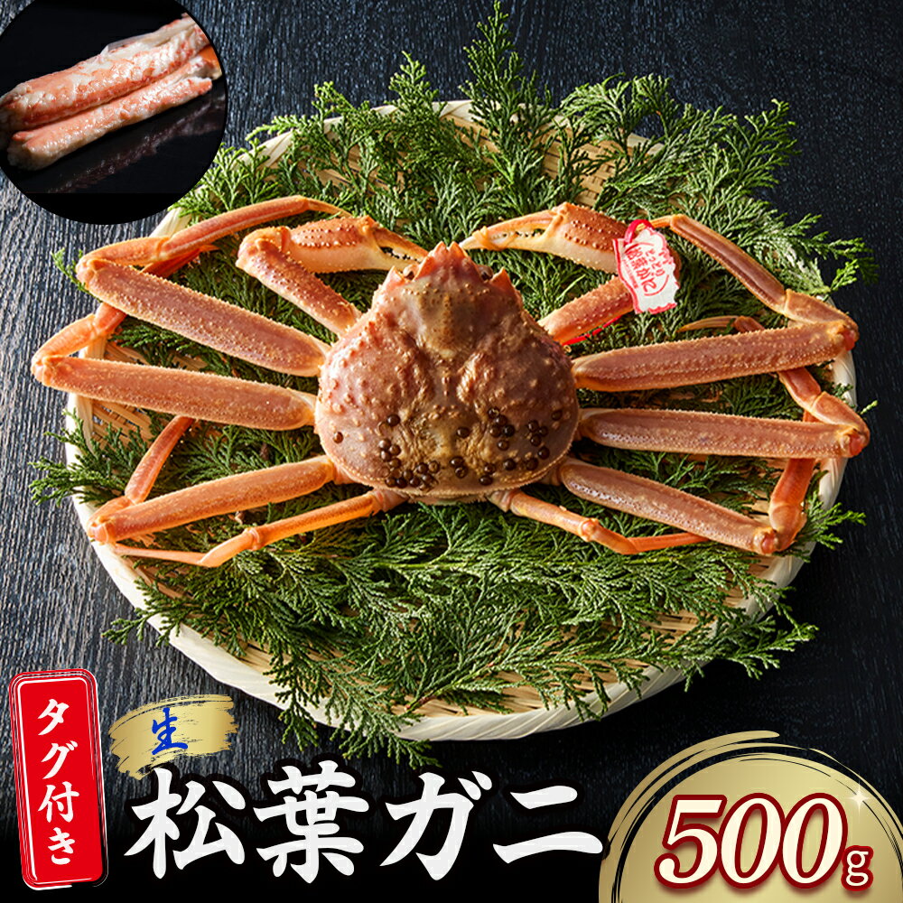 【ふるさと納税】 【魚倉】 タグ付き 生 松葉ガニ （500g） ズワイガニ 松葉蟹 カニ かに かにしゃぶ 【11月から3月発送予定】
