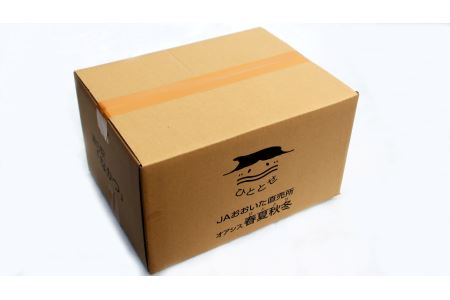 【JA直売所直送】春夏秋冬野菜セット 【6ヶ月定期便】　毎月届く　旬野菜