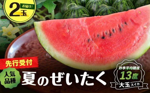 【高糖度】三浦の大玉スイカ2玉【露地栽培】　M072-001-02