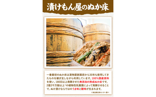 ぬか床カンタンセット(ぬか床容器調味料セット)樽の味《90日以内に出荷予定(土日祝除く)》ぬかどこぬか漬けセットぬか床セット容器手作り---wshg_tra35_90d_26_9000_s---st-