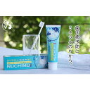 【ふるさと納税】「薬用歯磨きNUCHIMU（ヌチム）」沖縄の海塩ぬちまーす配合×1本　歯磨き粉　歯ブラシ　歯磨き　保湿　ミネラル　ぬちまーす　沖縄　うるま市　海塩　シーソルト