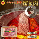 【ふるさと納税】おおいた和牛 焼肉 300g / 600g 和牛 豊後牛 国産牛 赤身肉 焼き肉 大分県産 九州産 津久見市 国産 送料無料