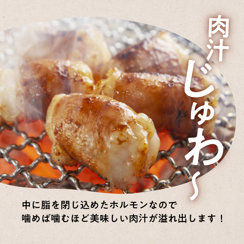 黒毛和牛丸腸（ホルモン）300g入り×2パック　K130-001_cp
