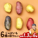 【ふるさと納税】じゃがいも6種の彩りセット 1.3kg × 6袋 元木農場《9月中旬頃から順次発送(土日祝除く)》北海道 浦幌町 じゃがいも メークイン キタアカリ インカのめざめ シャドークイーン ノーザンルビー レッドムーン