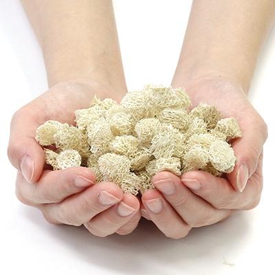 ふるさと納税 近江八幡市 涼しいへちま入りごろね枕(へちま2本分入り)1個 |  | 02