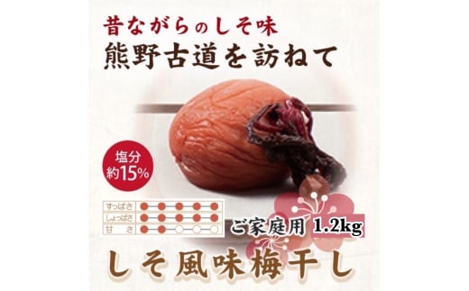 紀州南高梅 しそ風味梅干 1.2kg ご家庭用 【US14】【uts022】