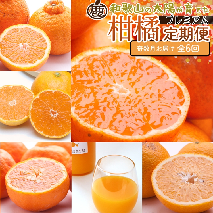 【定期便】厳選 柑橘定期便 S 6回（奇数月）※北海道・沖縄・離島への配送不可※奇数月に発送