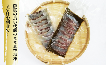 真鯛 昆布 締め 約60g×4パック スライス済み 皮目湯引き済み 真鯛