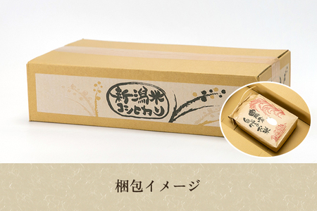 【令和7年産新米先行予約】新潟県産コシヒカリ 玄米5kg（5kg×1袋）（従来品種） 《9月下旬から順次出荷》 新潟米 お米 こめ コメ ライス ご飯 加茂市 のざきファーム