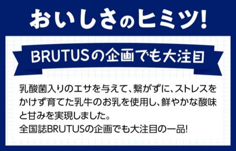 初恋の味　アイスヨーグルトセット 【 アリマン 菓子 デザート 詰め合わせ アイス ヨーグルト 】[E2903]