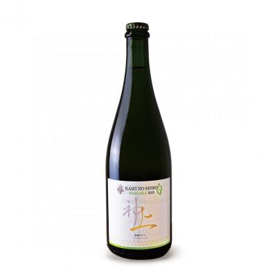 ふるさと納税 上ノ国町 北海道 上ノ国ワイナリーの白ワイン「上の白ナイアガラ2023」　750ml×1本