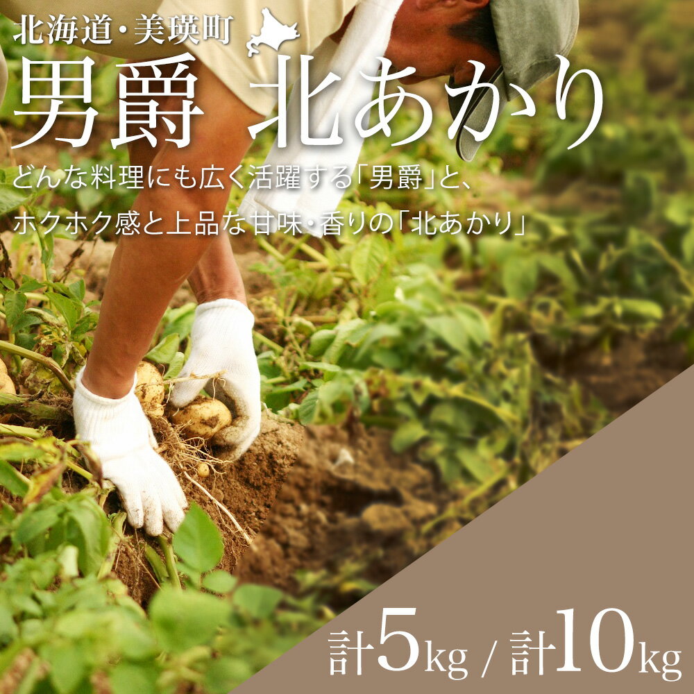 【ふるさと納税】【先行予約】じゃがいも（男爵・北あかり）5kg 10kg ≪令和8年産≫黒木農場 | 人気 おすすめ ランキング いも 芋 イモ じゃがいも ジャガイモ 男爵 北あかり きたあかり キタアカリ 北海道 野菜　[006-27]