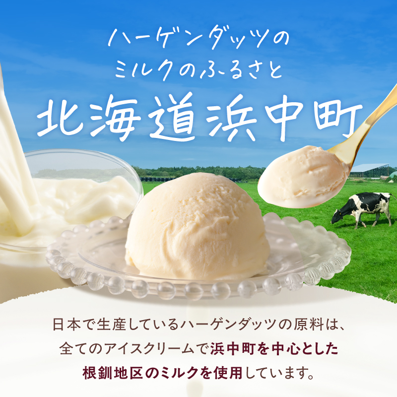 ＜全3回定期便・隔月＞ハーゲンダッツ『ミニカップ＆バーセット(合計21個)』アイスクリーム アイス スイーツ デザート_H0016-175