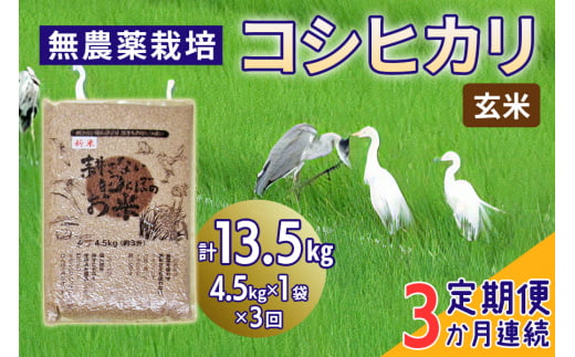 [定期便／3ヶ月] 無農薬栽培 コシヒカリ《玄米》計13.5kg (4.5kg×3ヶ月連続)｜おいしい お米 コメ こめ ご飯 ごはん お取り寄せ 直送 贈り物 贈答品 ふるさと納税 埼玉 杉戸 [0669]