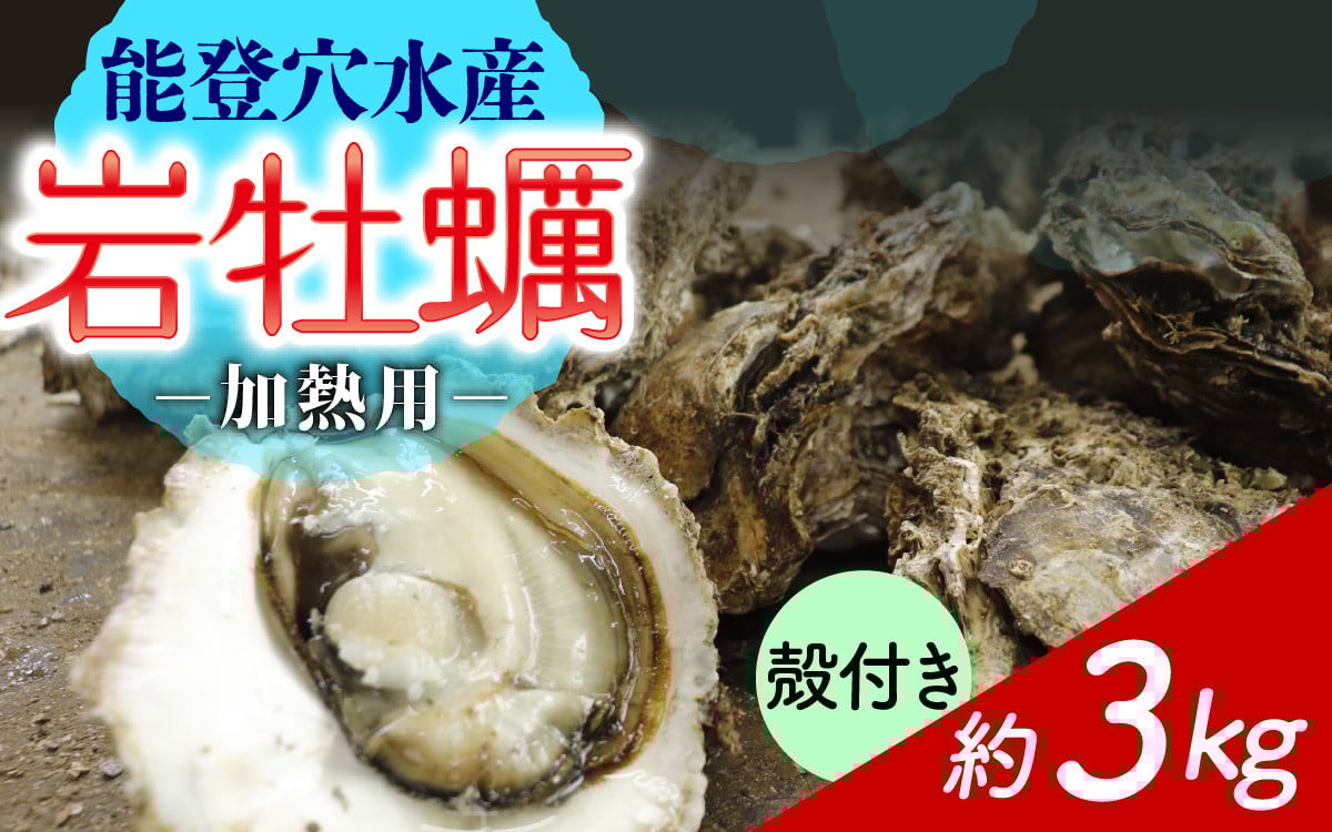 
            奥能登 河端水産の岩牡蠣（加熱用）約3kg ～鮮度抜群 とれたてをお届け～ /  魚介類 魚貝類 貝 海の幸 海のミルク オイスター 海鮮 国産 穴水町 奥能登 能登半島 旬 かき カキ
          