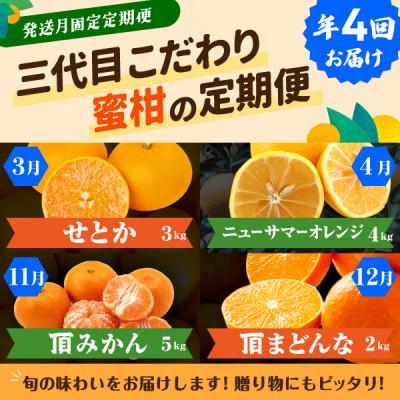 ふるさと納税 八幡浜市 【発送月固定定期便】柑橘【みかん・まどんな・せとか・ニューサマーオレンジ】【H31-46】全4回