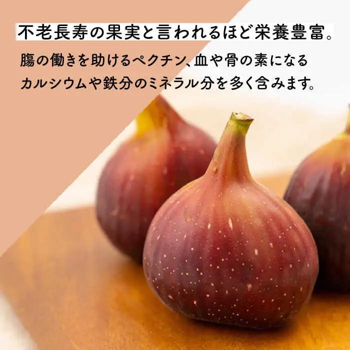 いちじく 約300g×4パック [OCU004] いちじく イチジク