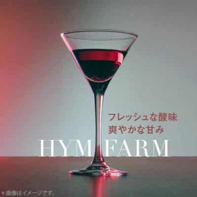 ふるさと納税 糸島市 糸島産 ブルーベリー/ブラックベリー ワイン 720ml×2種セット[AHM001] |  | 01