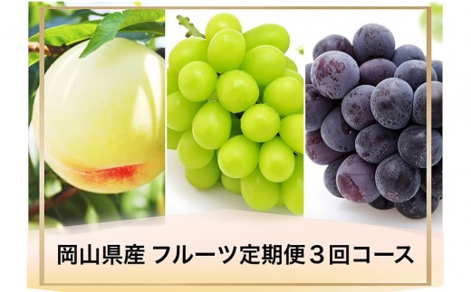岡山県産 フルーツ定期便全３回＜お一人様向け＞