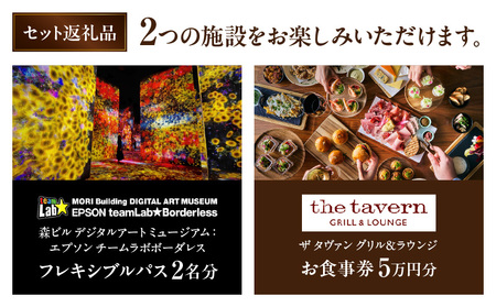 【ヒルズ周遊（麻布台・虎ノ門）ペア体験】チームラボボーダレス／アンダーズ東京 ザ タヴァン食事券